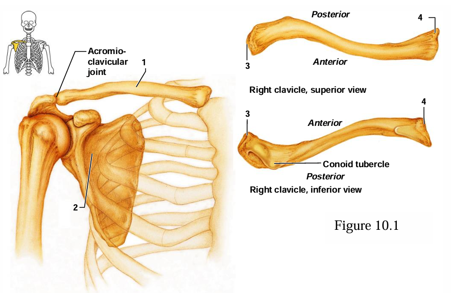 <p>What is #4 in the diagram?</p>