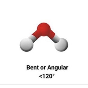 <p>Bent/ Angular • <120°</p>