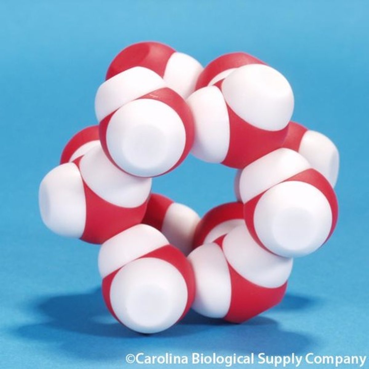 <p>molecule</p>