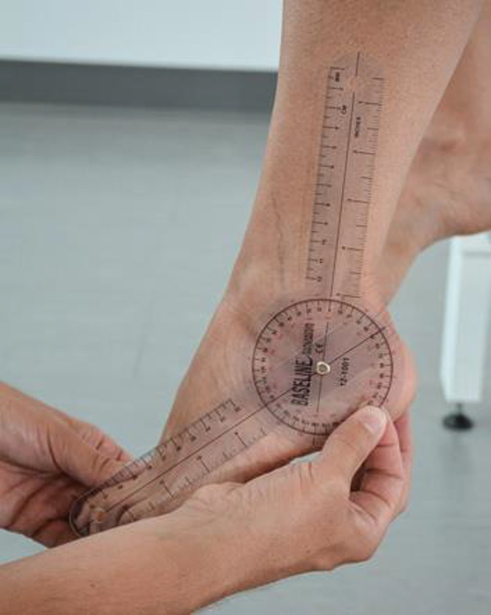 <p>moving the bottom of the foot downwards</p>