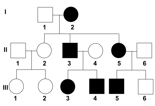 <p><span>a chart that shows the relationships between family members or animals</span></p>