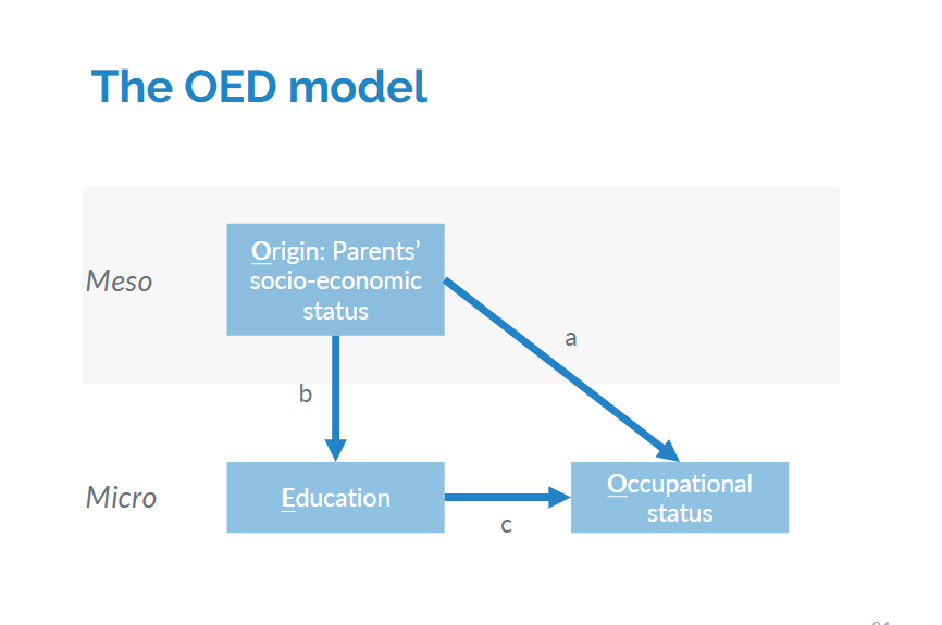 <p>O: Origin (meso level)</p><p>E: Education (micro level)</p><p>D: Destinations (in this case, Occupational status)</p>