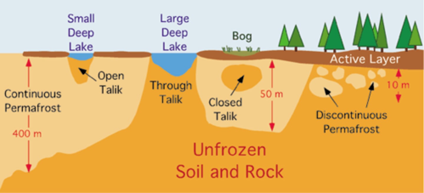 <p>an area of unfrozen ground surrounded by permafrost</p>