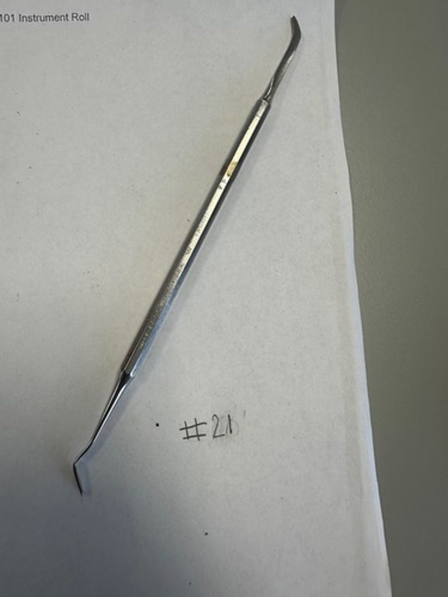 <p>Nib Resembles a condenser <br>Paddle is used for carrying dental materials to prepared tooth structure (restorative)</p>