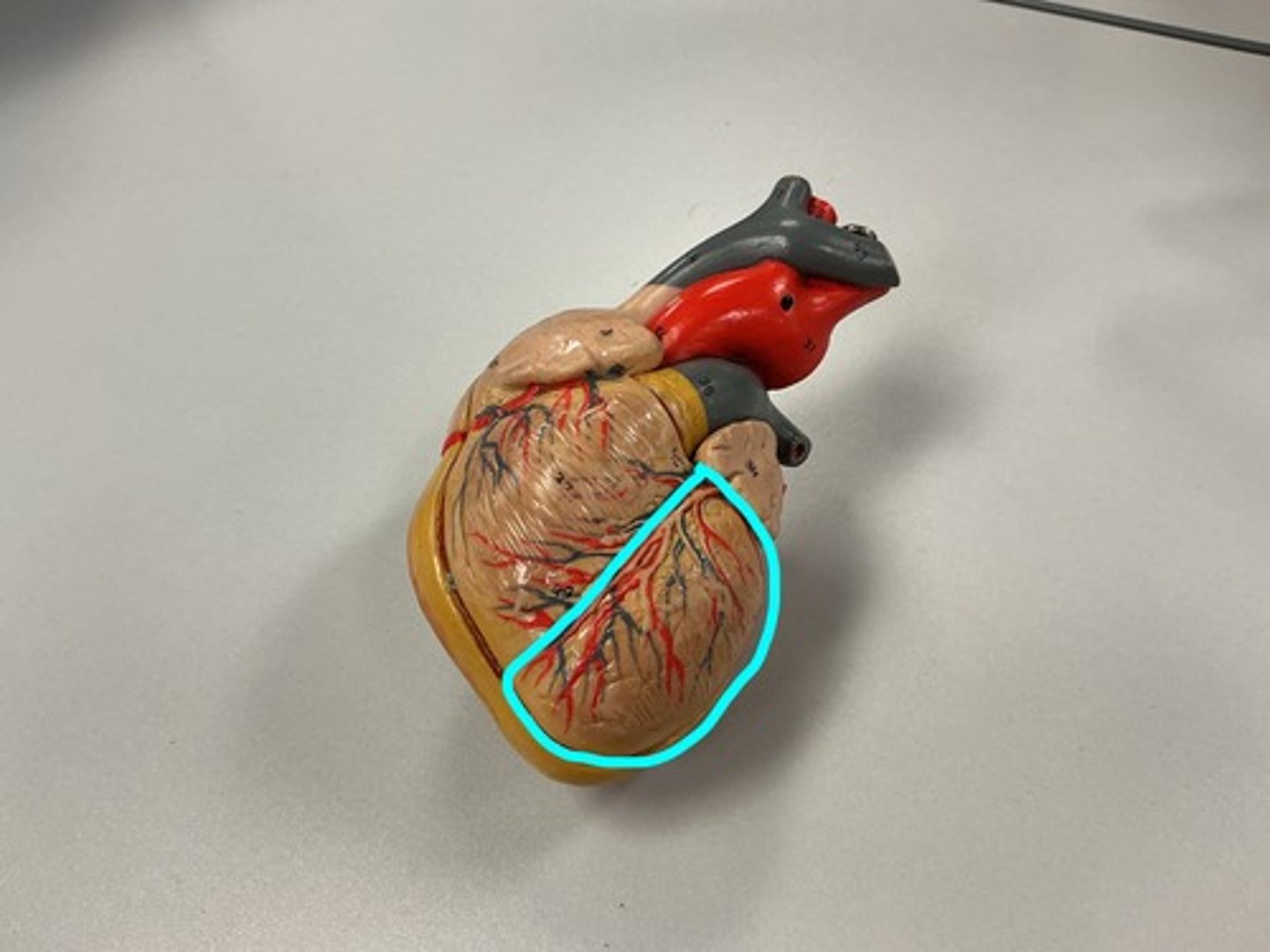 knowt flashcard image