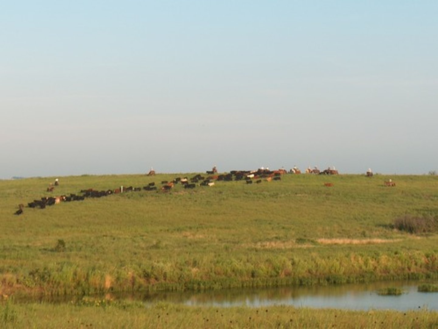 <p>has immigration (entering) and emigration (leaving)</p>