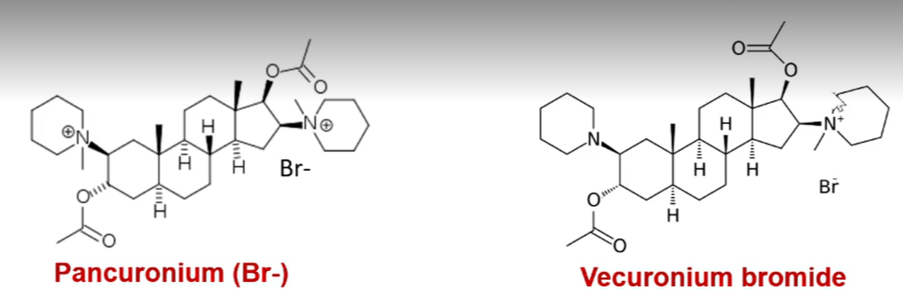 <p>pancuronium vs vercuronium bromide. what is the difference</p>