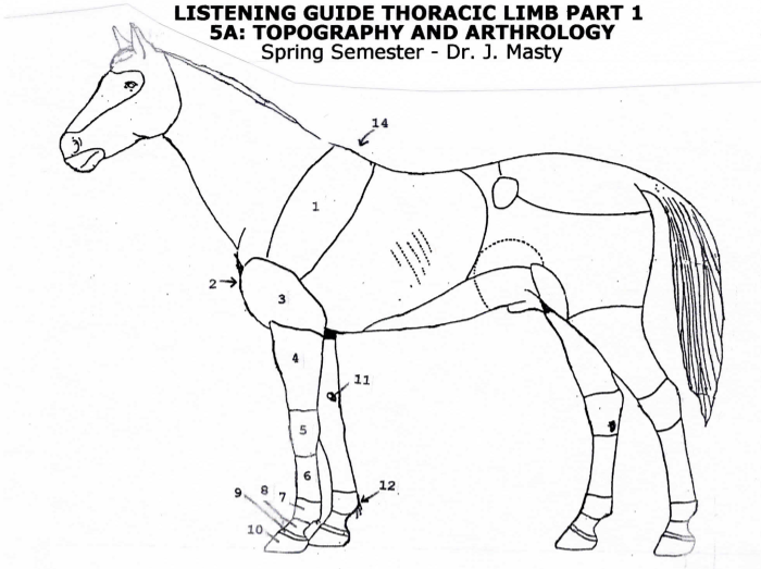 <p>Topographic Regions </p>
