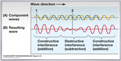 <ul><li><p><span><span>Waves of different wavelengths combine to create the sea surface</span></span></p><ul><li><p><span><span>Constructive interference: crests line up to create an extra high resulting wave/sea surface, and extra low troughs</span></span></p></li><li><p><span><span>destructive interference: crest of one wave lines up with trough of another, therefore resulting in a flattened wave/sea surface</span></span></p></li></ul></li><li><p class="MsoListParagraphCxSpMiddle"><span><span>Wave inference creates wave groups/sets, which move slower than the waves that create them</span></span></p><ul><li><p class="MsoListParagraphCxSpMiddle"><span style="font-family: "Times New Roman"; line-height: normal; font-size: 7pt;"><span> </span></span><span><span>Group velocity= ½ (average wave 1 + wave 2 velocity)</span></span></p></li></ul></li></ul><p></p>