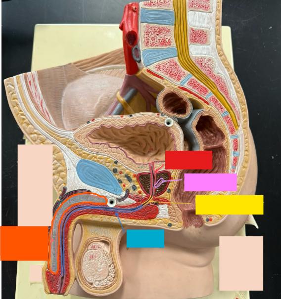 <p>What is the name of the yellow box?</p>