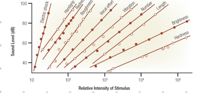 <ul><li><p><strong>cross-modality matching</strong>: compare stimulus from one sensory modality to stimulus of another sensory modality</p><ul><li><p>relationships seem to be similar across individuals</p></li></ul></li><li><p>graph → equal sensation func</p><ul><li><p>e.g., shock w/ sound of shock</p></li></ul></li></ul>