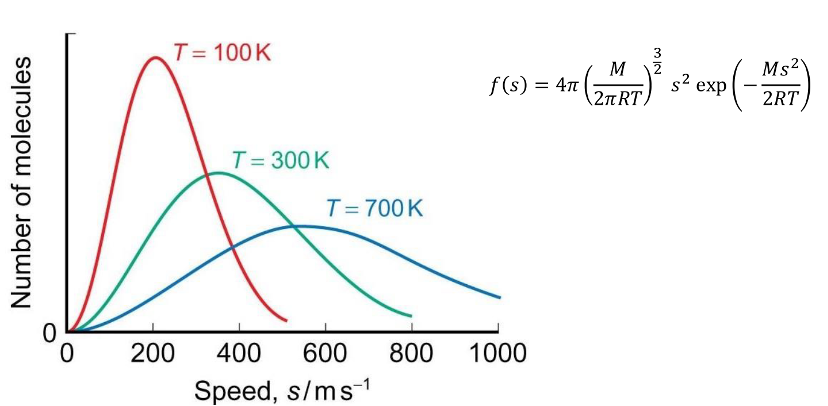 <p>shifts to the right and becomes broader</p>