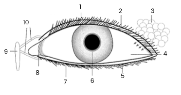 <p>4</p>