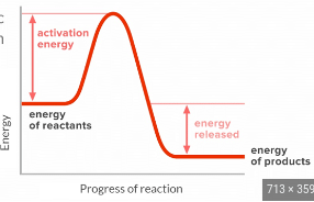 <p>graph drops lower in energy from reactants to products</p>