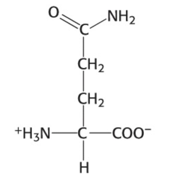 <p>Which amino acid is this</p>