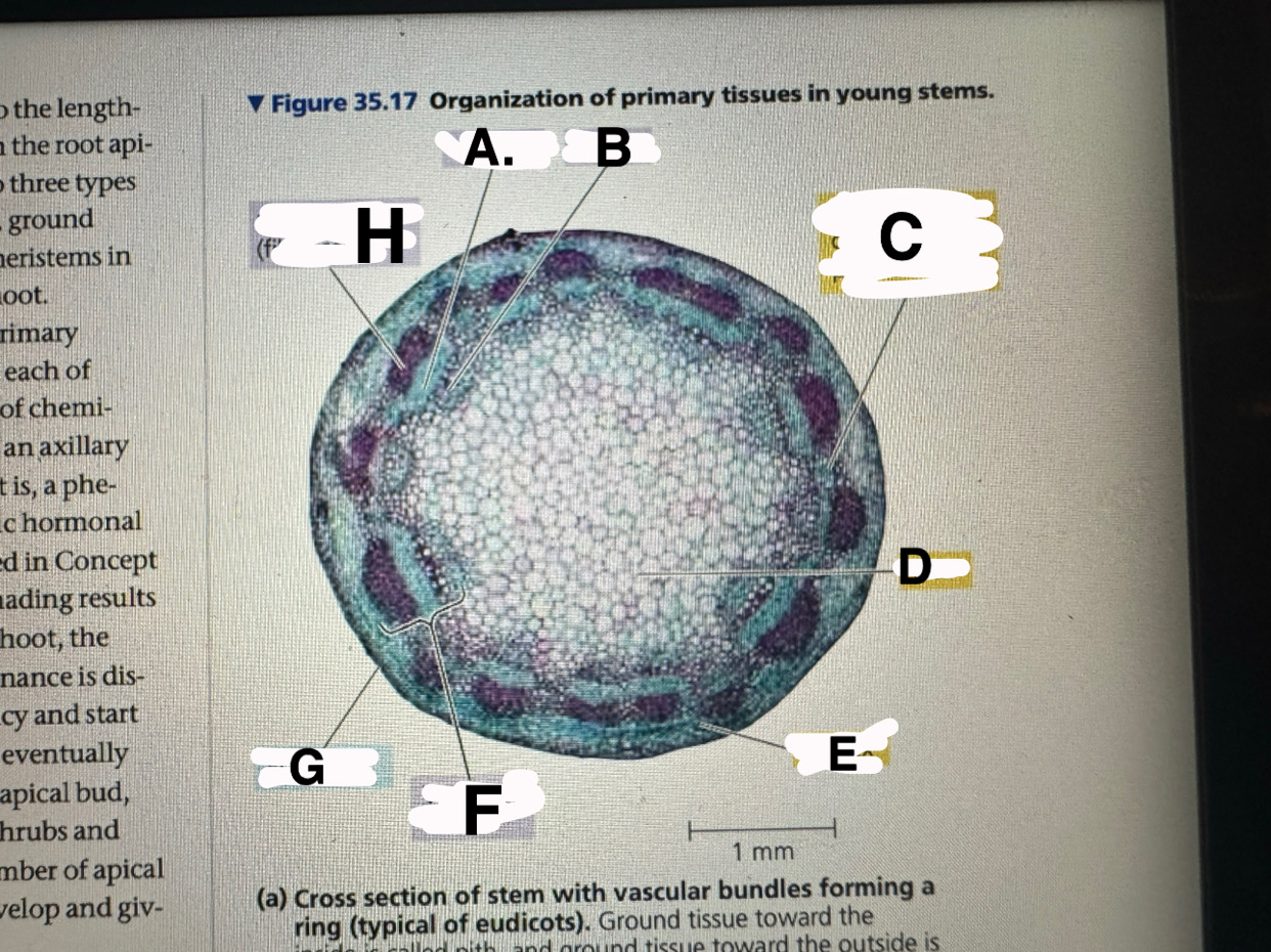 <p>h</p>