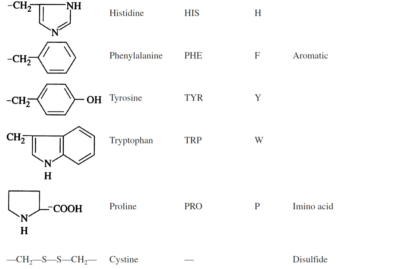 <p>FAMILIARIZE.</p>