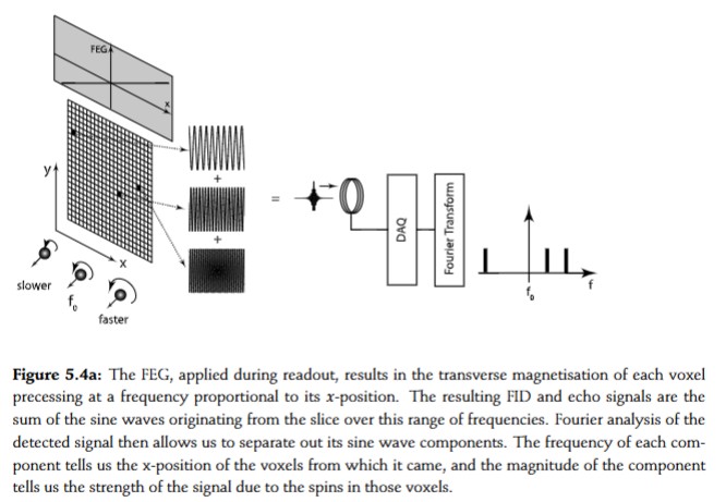 <p>using the gradient coil, applying two different currents to each half, creating magnetic field differential along x axis of slice selected when reading out signal, to help us determine signal location within a certain x slice</p><p>frequency of spins differs depending on x axis location</p><p>applied along x direction, during detection and sampling of readout signal → known as readout gradient</p><p>voxels at -x end will </p>