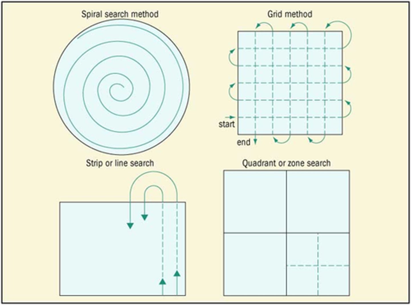 <p>grid, line, zone, spiral</p>