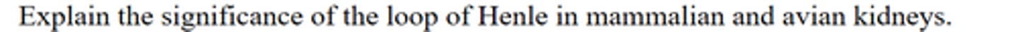 <p>Explain the significance of the loop of Henle in mammalian and avian kidneys.</p>