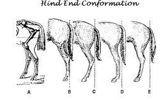 <p>what is wrong with E</p>