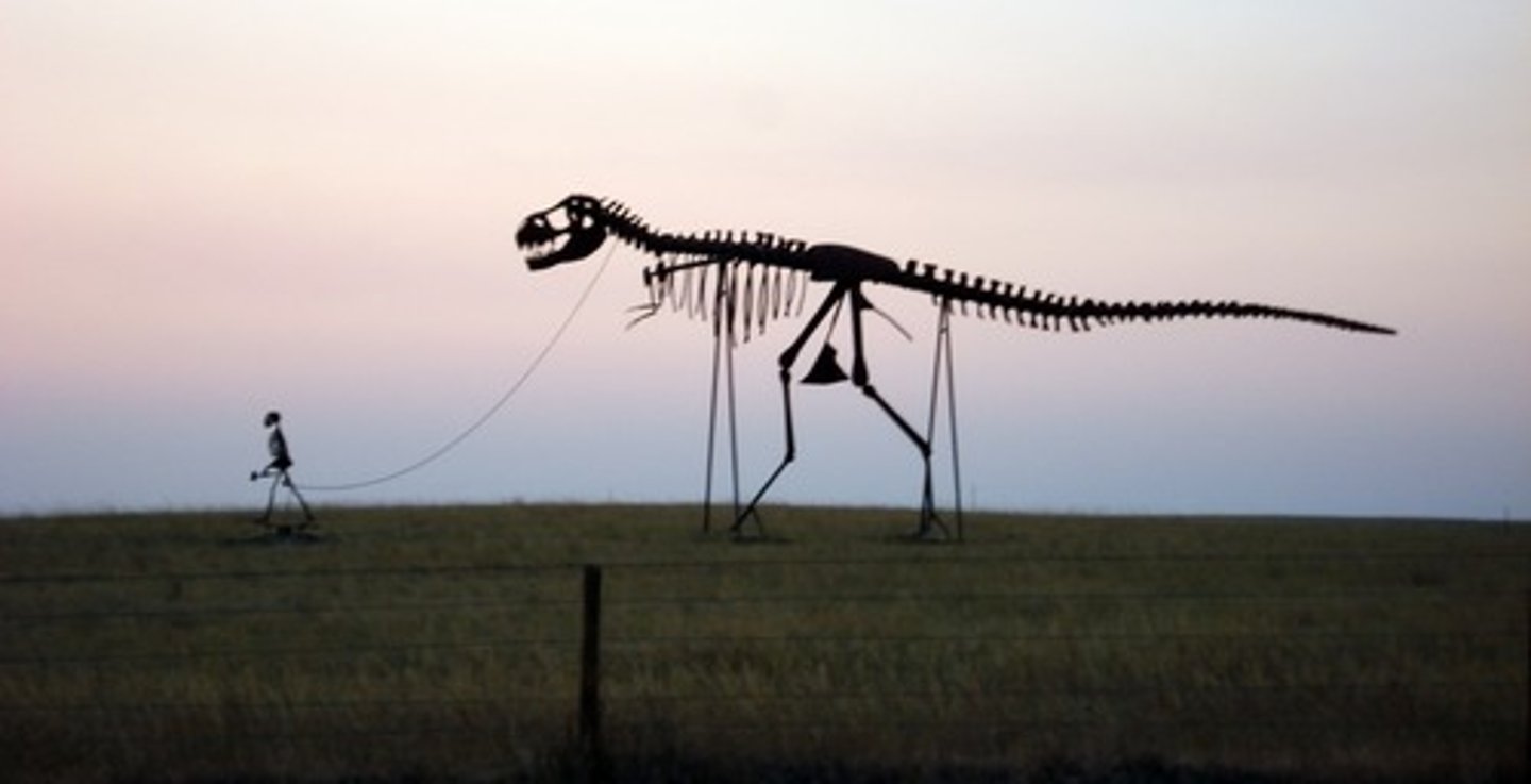 <p>to become extinct</p>