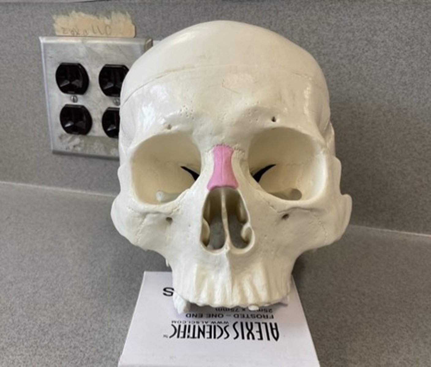 knowt flashcard image