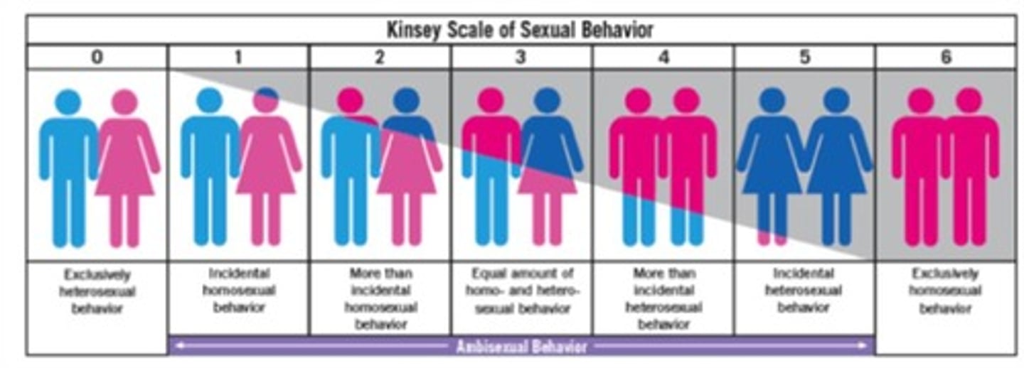 <p>He pioneered the scientific survey study and developed the sexuality continuum.</p>