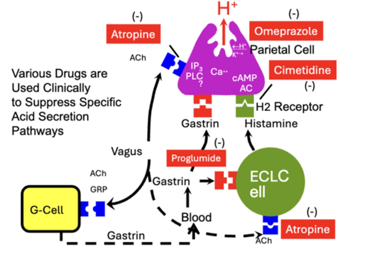 knowt flashcard image