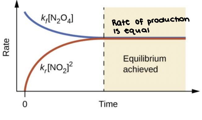 <p>equilibrium is reached when both reactant and product rates merge to become the same value.</p>