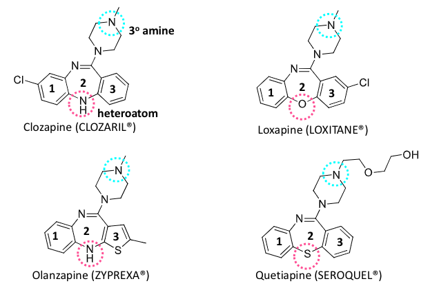 <ul><li><p>synthesized based on imipramine (TCA)</p></li><li><p>less EPS toxicity</p></li><li><p>substitution of the amine target specificity → 3 amine and not secondary</p></li><li><p>efficacy of this class challenges the dopamine hypothesis of schizophrenia</p></li></ul><p></p>