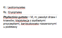 <p>Phyllactinia guttata (klejstotecjum)</p><p>Gr.: ASCOMYCOTA – grzyby workowe</p><p>     Podgr.: PEZIZOMYCOTINA </p>