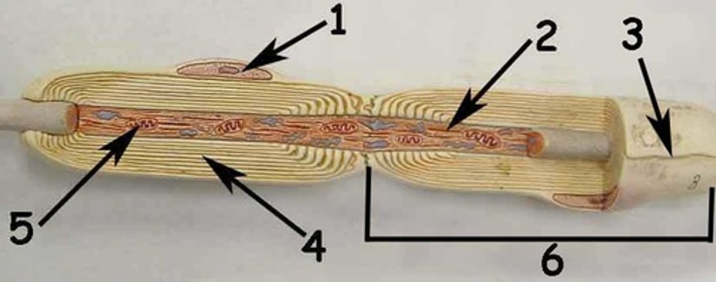 <p>4</p>