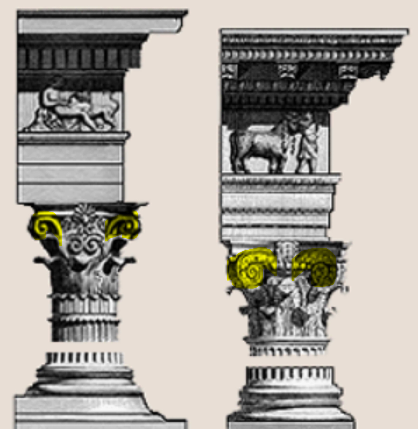 term image