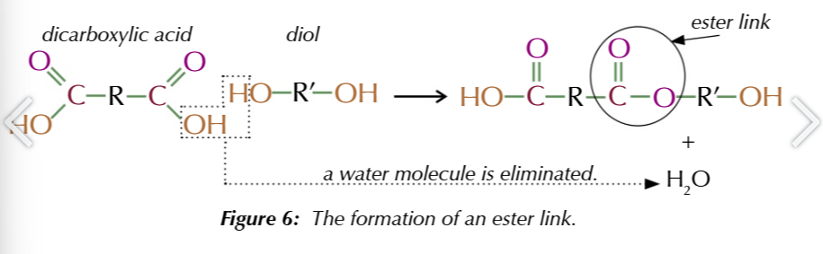 <p>polyesters, the H from diol and OH from dicarboxylic form the water released +ester link</p>