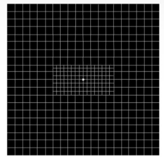 <p>What disease can this amsler chart detect</p>