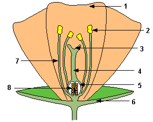 what is \#5 on the diagram?

