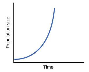 growth whose rate becomes ever more rapid in proportion to the growing total number or size.