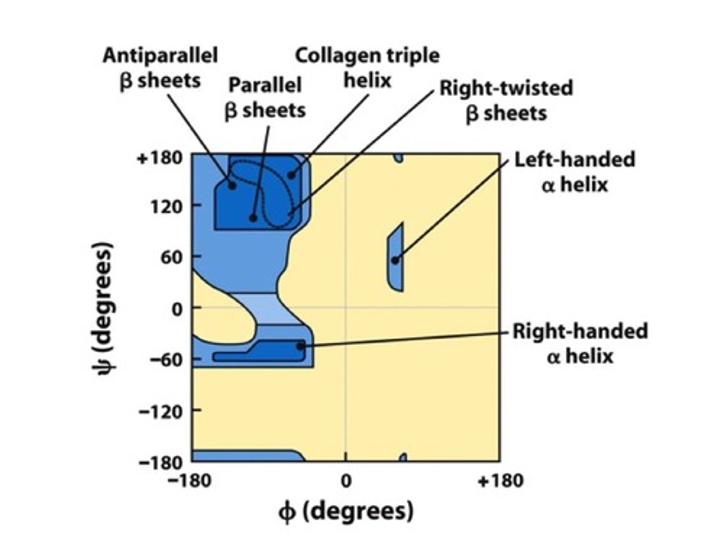 <p>List plotting the most favorable combinations of phi (ϕ) and psi (Ψ) angles for different structures</p>
