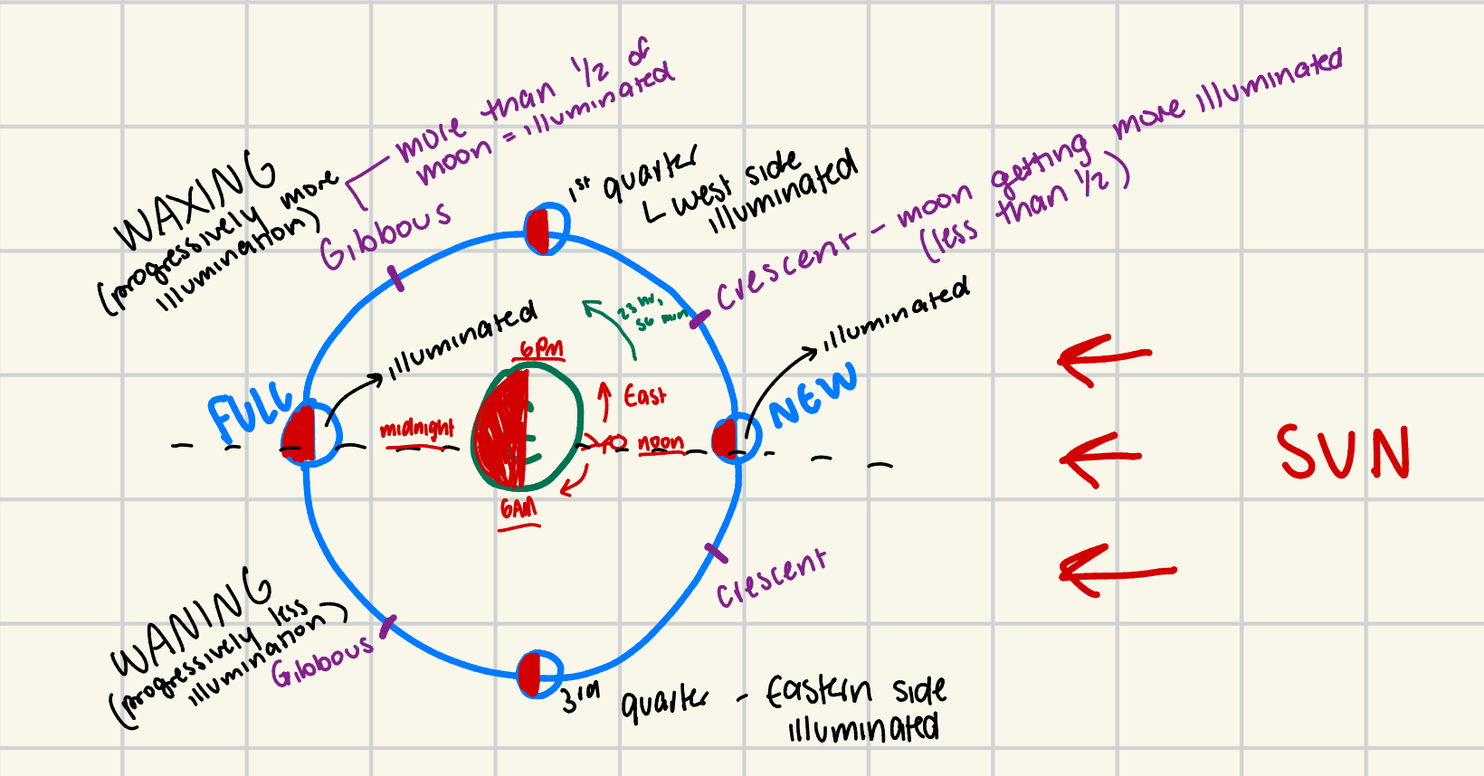<p>sunlight = EAST;</p><p>ORBIT = perfect circle because the size of moon and distance from earth stays constant–COUNTERCLOCKWISE/EAST</p><p>waxing phase = progressively more illumination (MOON RISING IN THE EAST/NIGHTFALL);</p><p>waning phase = progressively less illumination (MOON SETS IN THE WEST/DAYBREAK);</p><p>Full moon (midnight) = light side of moon facing earth (WEST);</p><p>New moon (noon) = dark side of moon facing earth (EAST);</p><p></p><p></p>