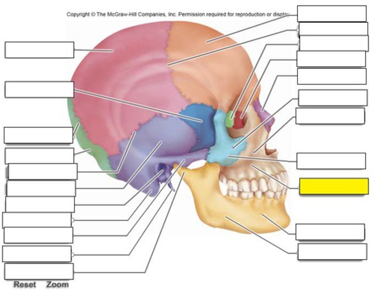 term image