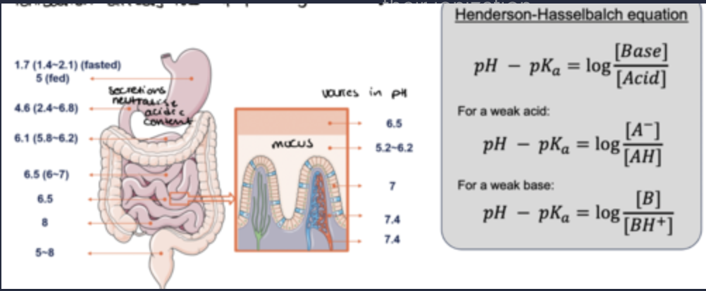 <ul><li><p>Most small drugs are weak acids or bases - their ionization changes with varying pH according to their pKa. </p></li><li><p> Ionization affects the lipophilicity of drugs.</p></li></ul><p></p>