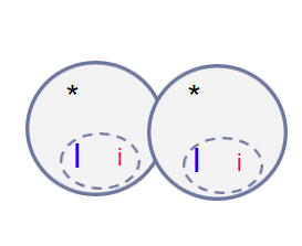<p>An organism has a 2N = 4. Is this cell undergoing Mitosis or Meiosis? What stage is it at?</p>