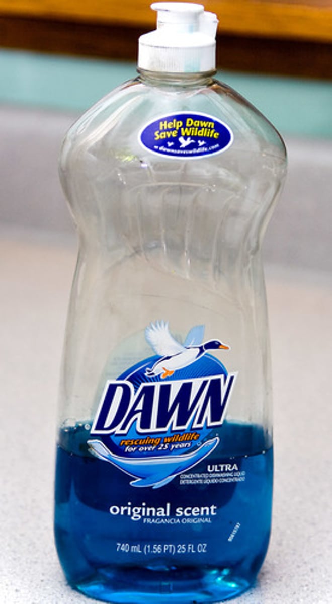 <p>dishwashing liquid</p>