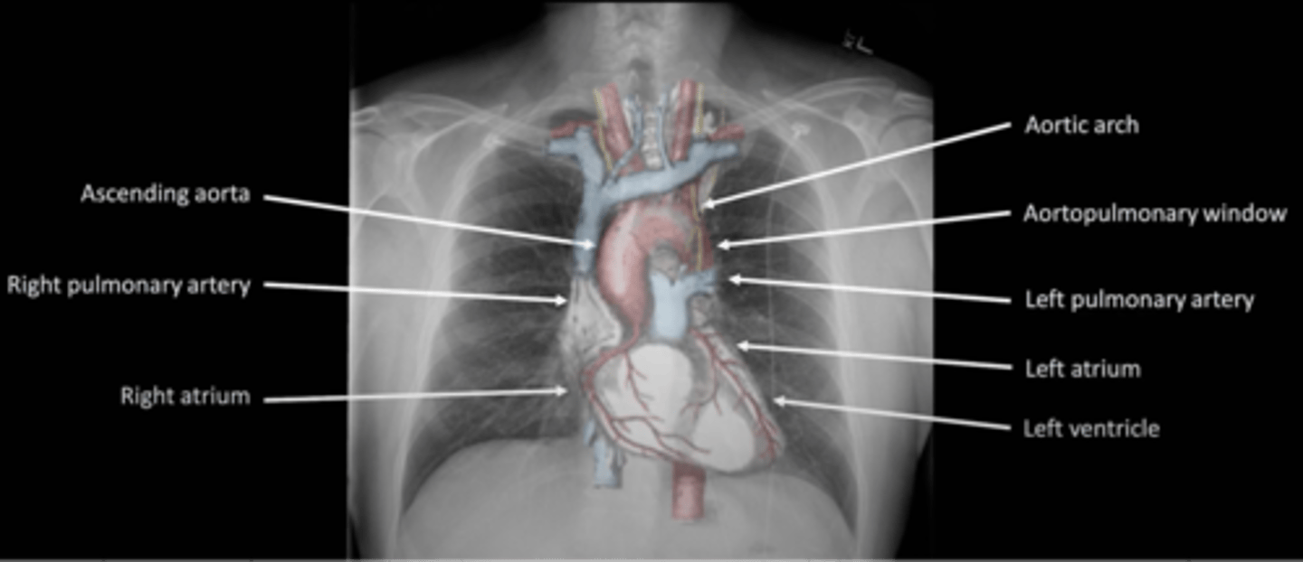 <p>-are they in the correct location and the correct size</p>