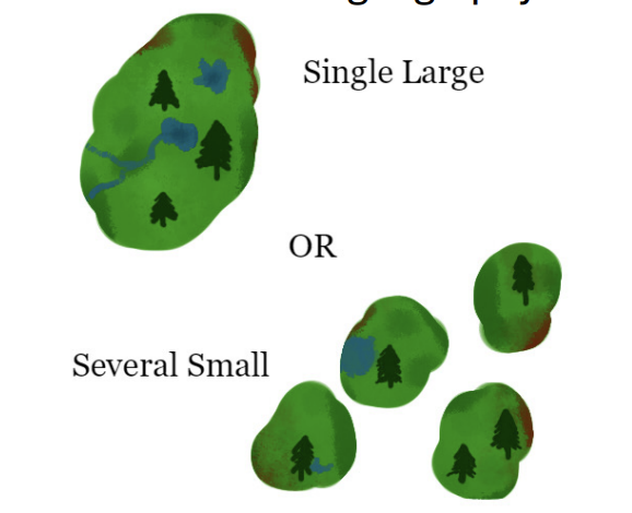 <p>what is SLOSS?</p>