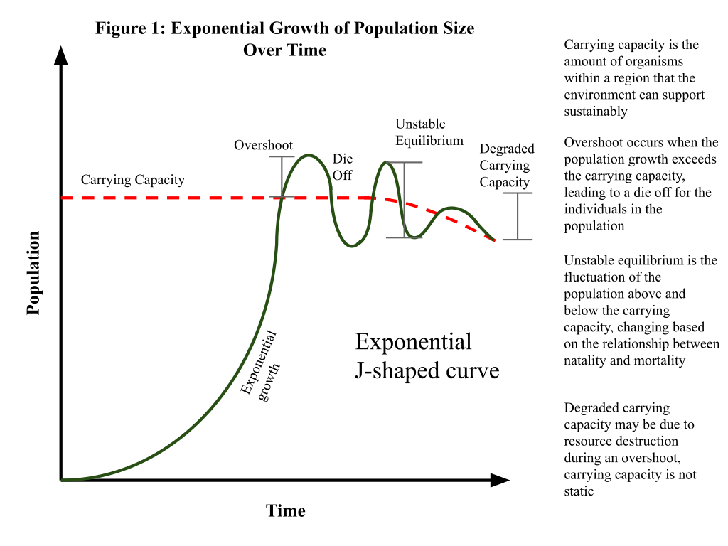 <p>The sharp decrease in population size when resource depletion leads to many individuals dying.</p>