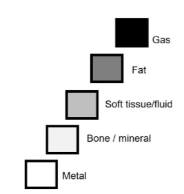 <ul><li><p>gas = anechoic = black</p></li><li><p>fat = dark grey</p></li><li><p>soft tissue/fluid = lighter grey</p></li><li><p>white = bone/mineral</p></li><li><p>bright white = metal</p></li></ul><p></p>