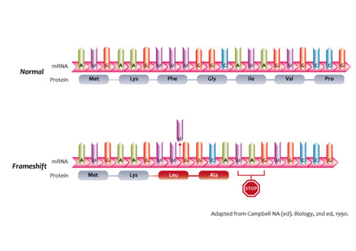<p>mutation</p>