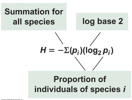 <p>Is <span>a measure of diversity in a community, taking into account both the number of species present (richness) and how evenly distributed individuals are among those species (evenness). </span><br><span>-Higher values of "H" indicate greater diversity, while a value close to zero suggests a community dominated by a single species.</span></p>